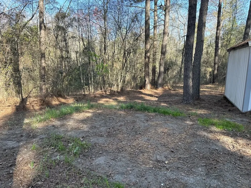 Professional yard maintenance for year-round maintenance in Columbia, SC by Elite Lawn & Landscape