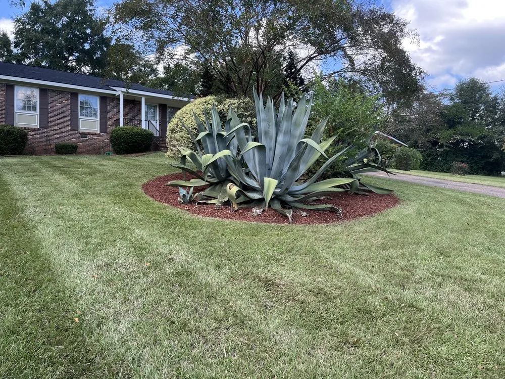 Reliable outdoor landscaping in Leesburg, GA by Elite Lawn & Landscape
