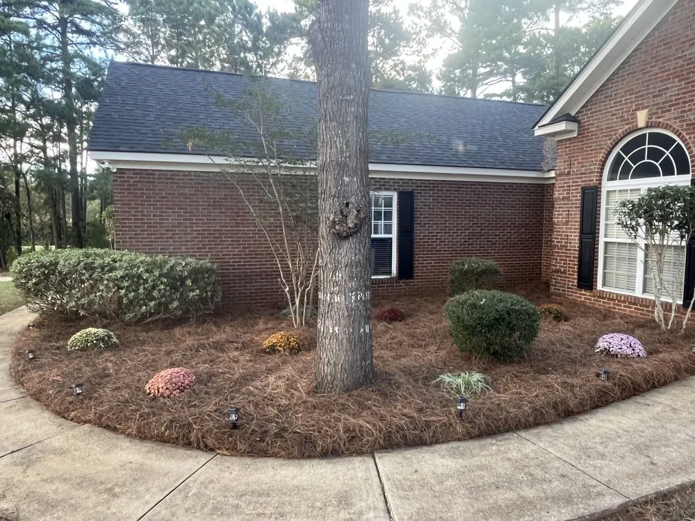 Reliable lawn mowing service in Leesburg, GA by Elite Lawn & Landscape