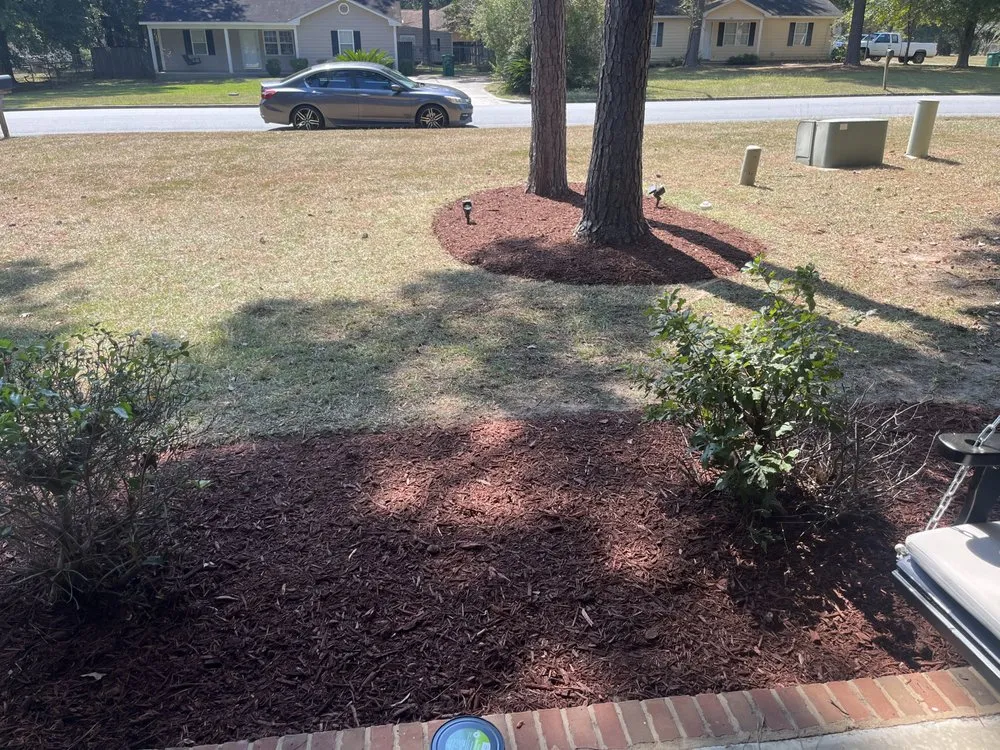 Top-rated lawn care service in Leesburg, GA - Elite Lawn & Landscape