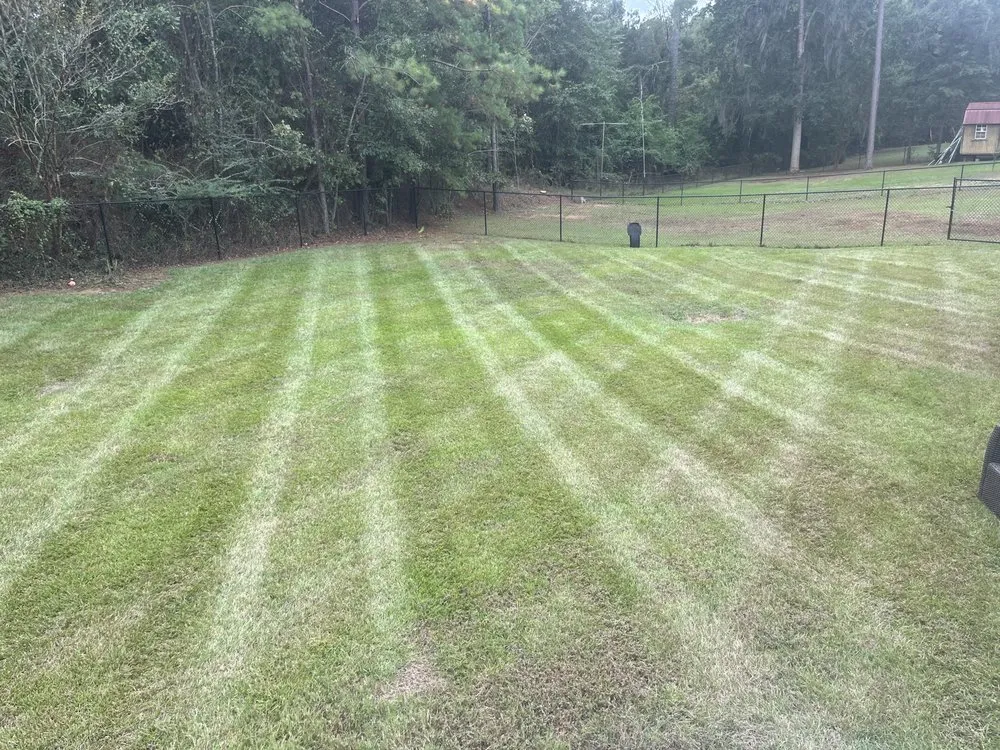 Professional yard cleanup service for year-round maintenance in Leesburg, GA by Elite Lawn & Landscape