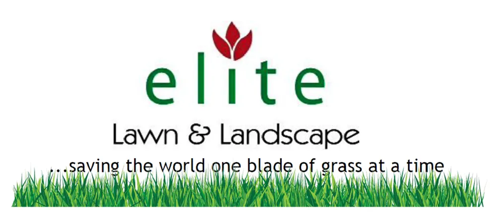 Custom garden landscaping for homes in Roswell, GA by Elite Lawn & Landscape