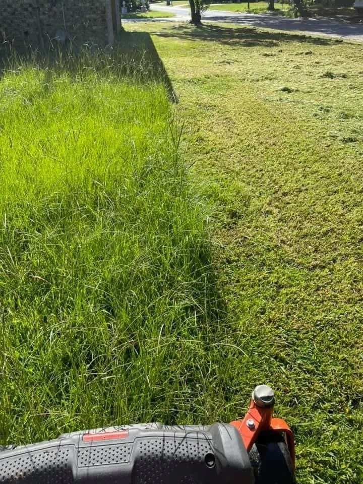 Custom residential landscaping near you across Saucier, MS - Elite Lawn & Services