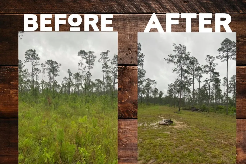 Trusted lawn care service in Saucier, MS by Elite Lawn & Services