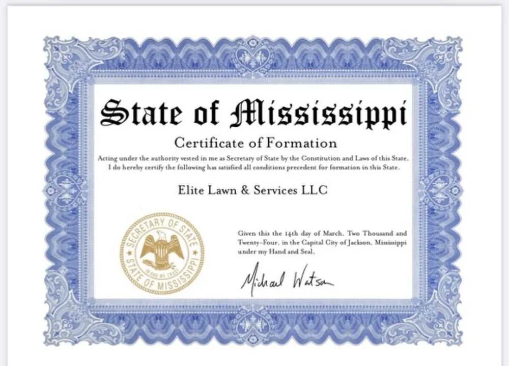 Reliable yard cleanup service for homes in Saucier, MS by Elite Lawn & Services