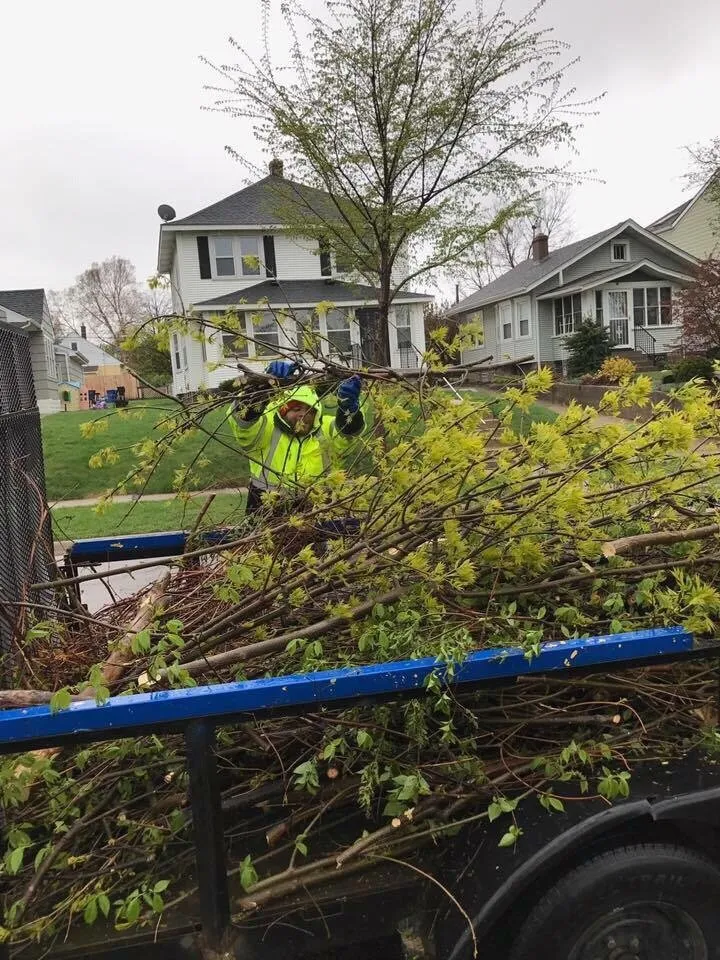 Trusted landscape installation in Minneapolis, MN by Elite Lawn & Snow Services 612