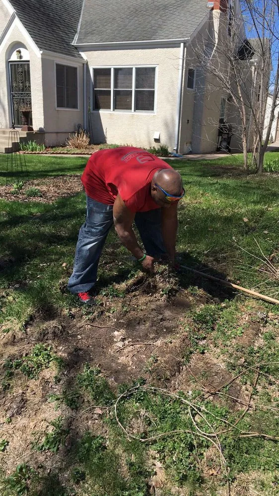 Expert garden landscaping for residential properties in Minneapolis, MN by Elite Lawn & Snow Services 612