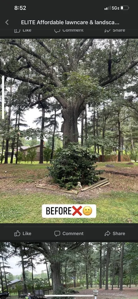 Affordable outdoor landscaping for year-round maintenance in Lucas, TX by Elite Lawn and Land Management