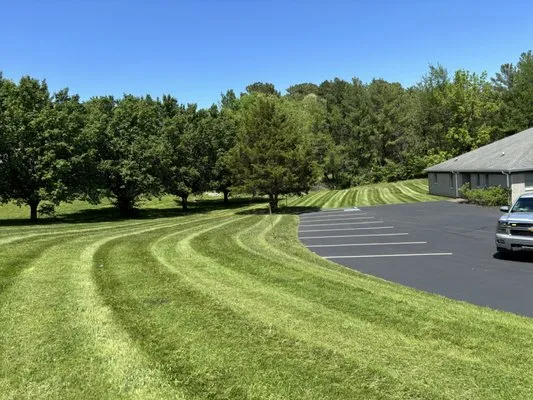 Elite Lawn and Landscaping