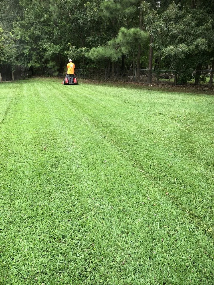 Professional outdoor landscaping for residential properties across Newport News, VA - Elite Lawn and Landscaping