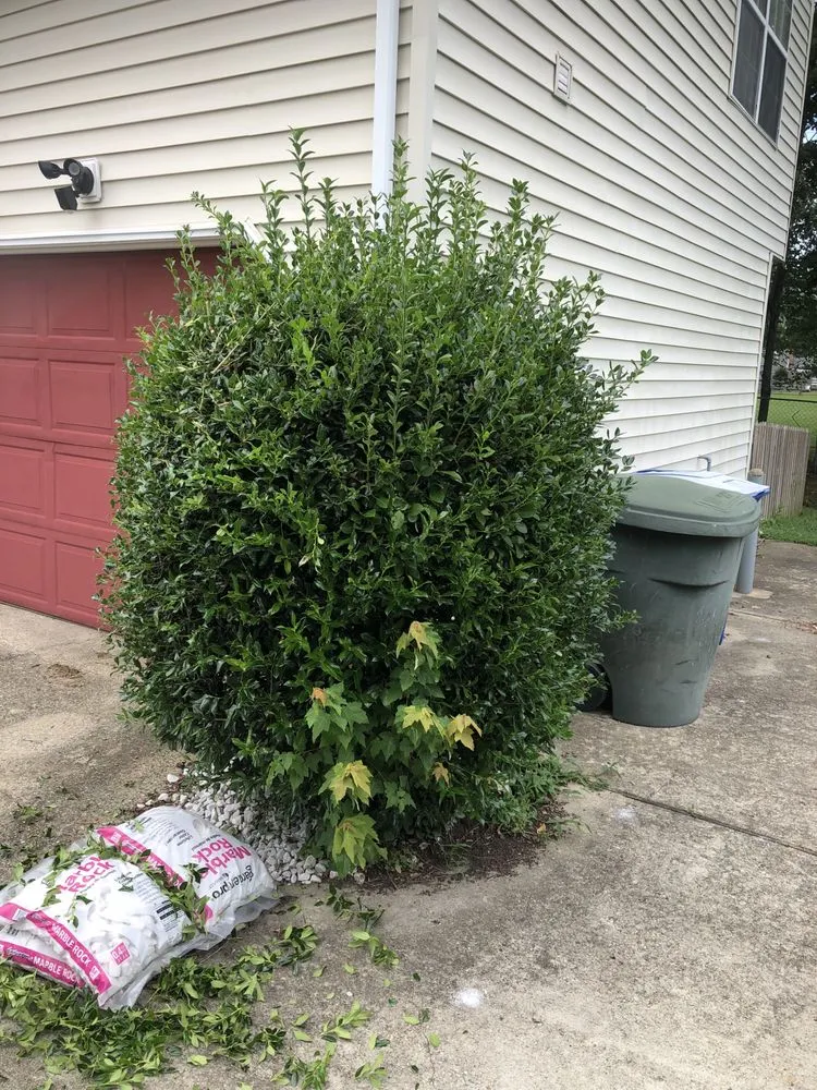 Custom outdoor landscaping in Newport News, VA by Elite Lawn and Landscaping