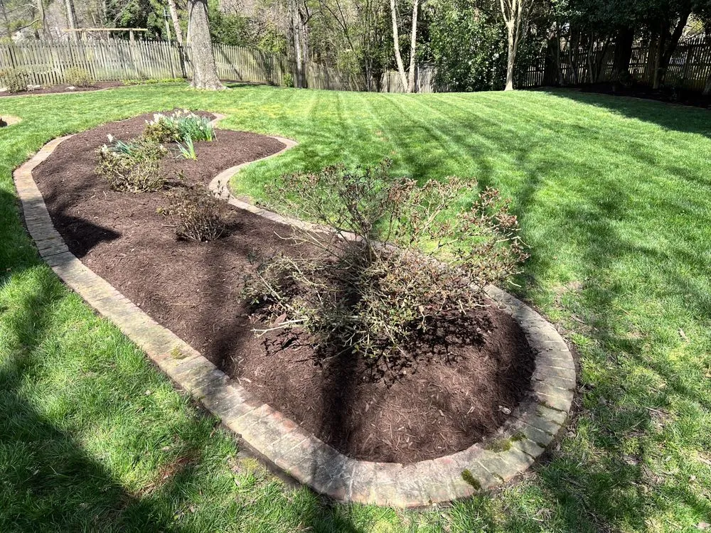 Reliable landscaping services in Newport News, VA by Elite Lawn and Landscaping