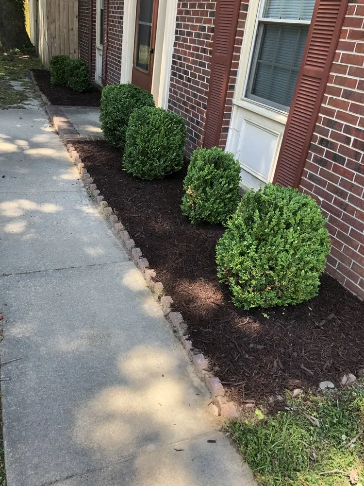Local lawn care service experts serving Newport News, VA - Elite Lawn and Landscaping