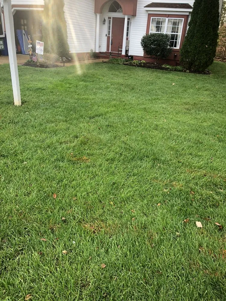 Expert landscape installation with custom design in Newport News, VA by Elite Lawn and Landscaping