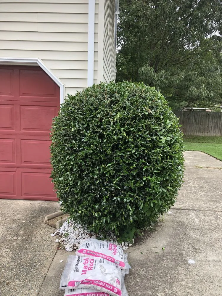 Trusted landscape installation experts serving Newport News, VA - Elite Lawn and Landscaping