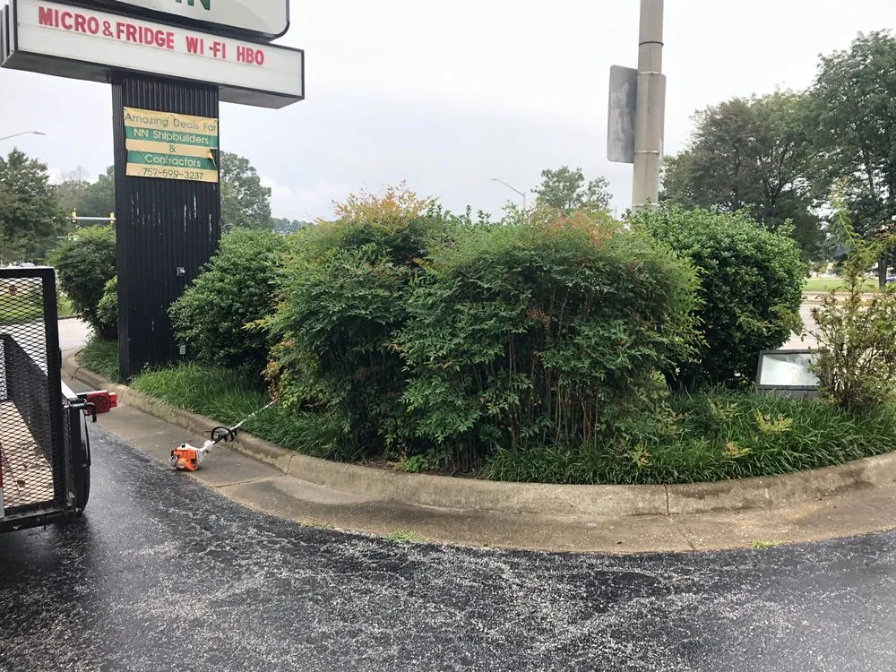 Custom yard cleanup service experts serving Newport News, VA - Elite Lawn and Landscaping