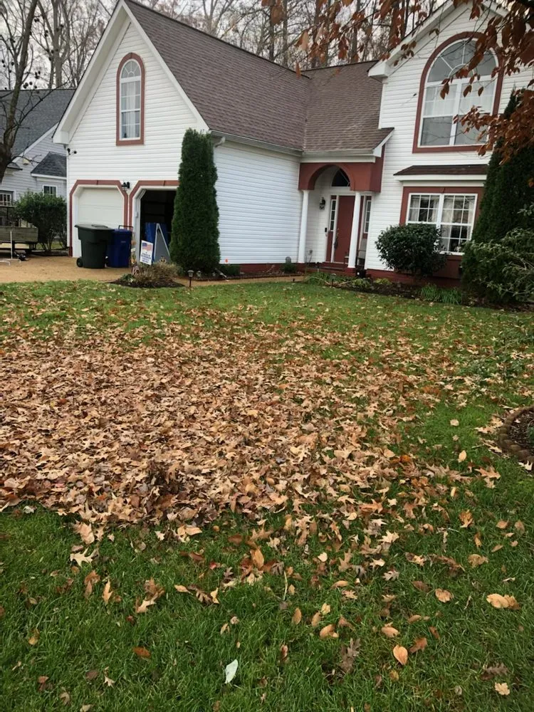 Local yard maintenance near you in Newport News, VA by Elite Lawn and Landscaping