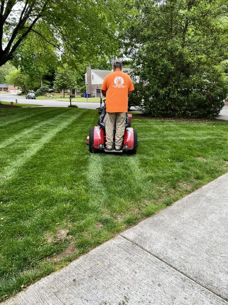 Custom lawn mowing service in Newport News, VA by Elite Lawn and Landscaping