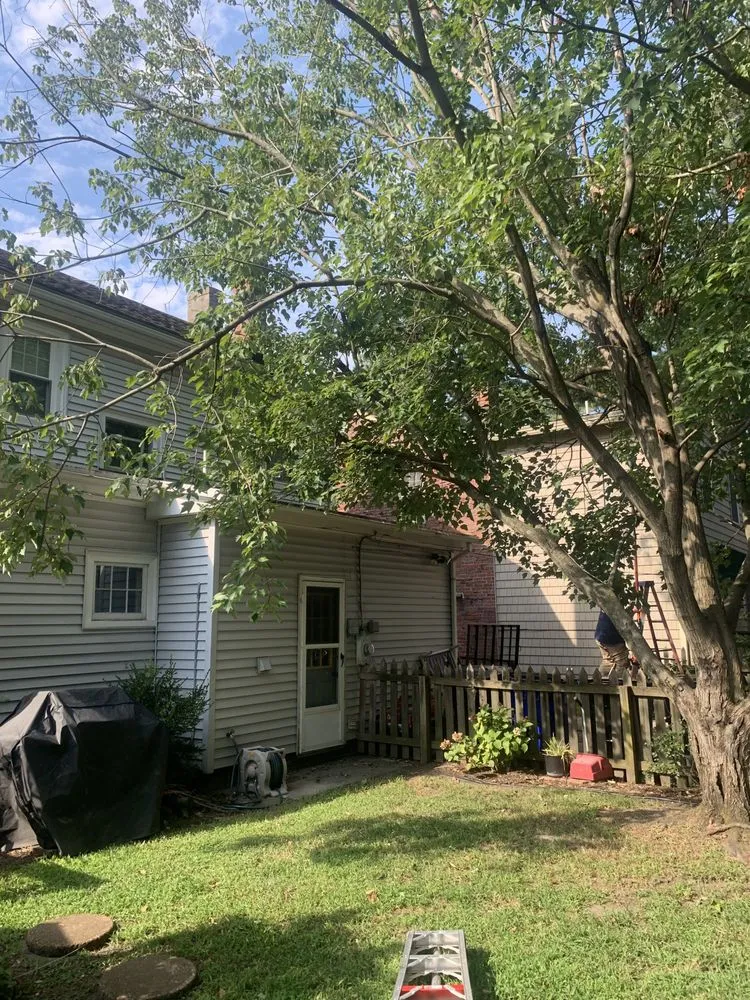 Custom landscape design in Newport News, VA by Elite Lawn and Landscaping