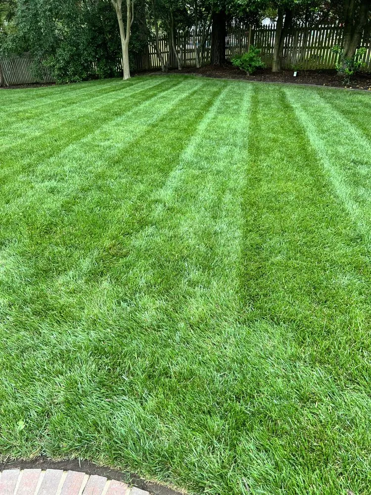 Local landscape design in Newport News, VA - Elite Lawn and Landscaping