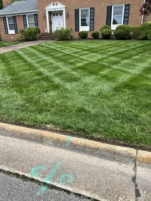 Elite Lawn and Landscaping Logo