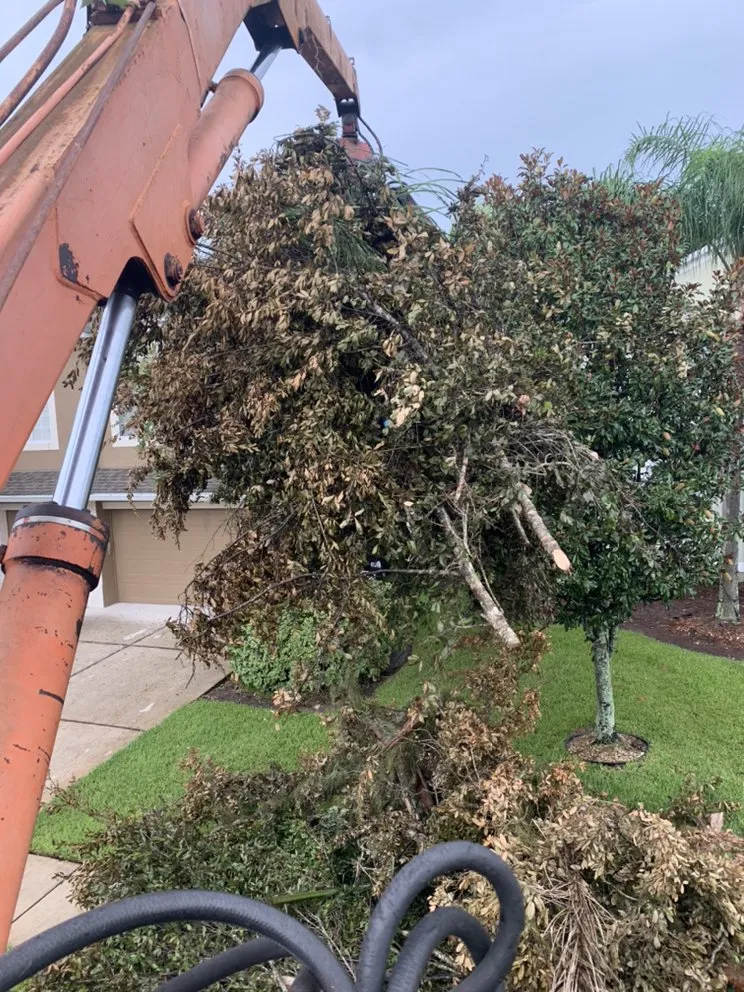 Professional lawn mowing service experts serving St Cloud, FL - Elite Lawn And Tree Services