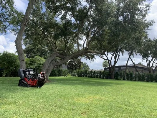 Elite Lawn And Tree Services Logo