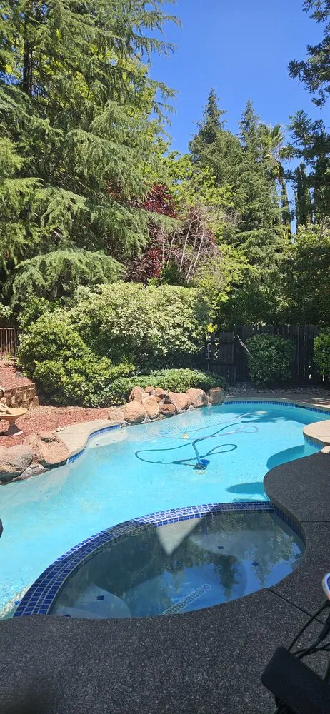 Custom outdoor landscaping in Folsom, CA by Elite Lawn and Yard Care