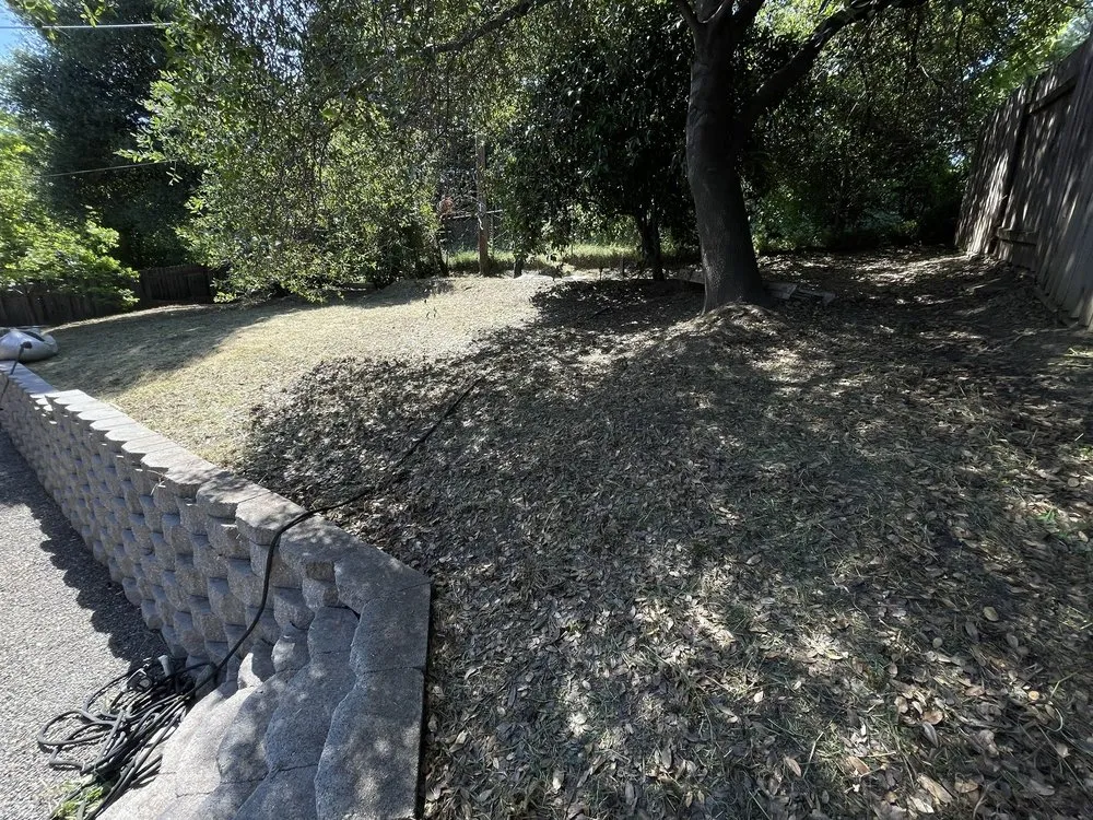 Affordable lawn mowing service for beautiful yards across Folsom, CA - Elite Lawn and Yard Care