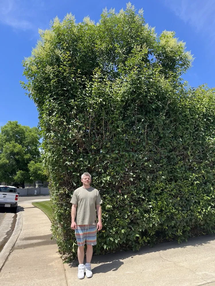 Reliable outdoor landscaping in Folsom, CA - Elite Lawn and Yard Care