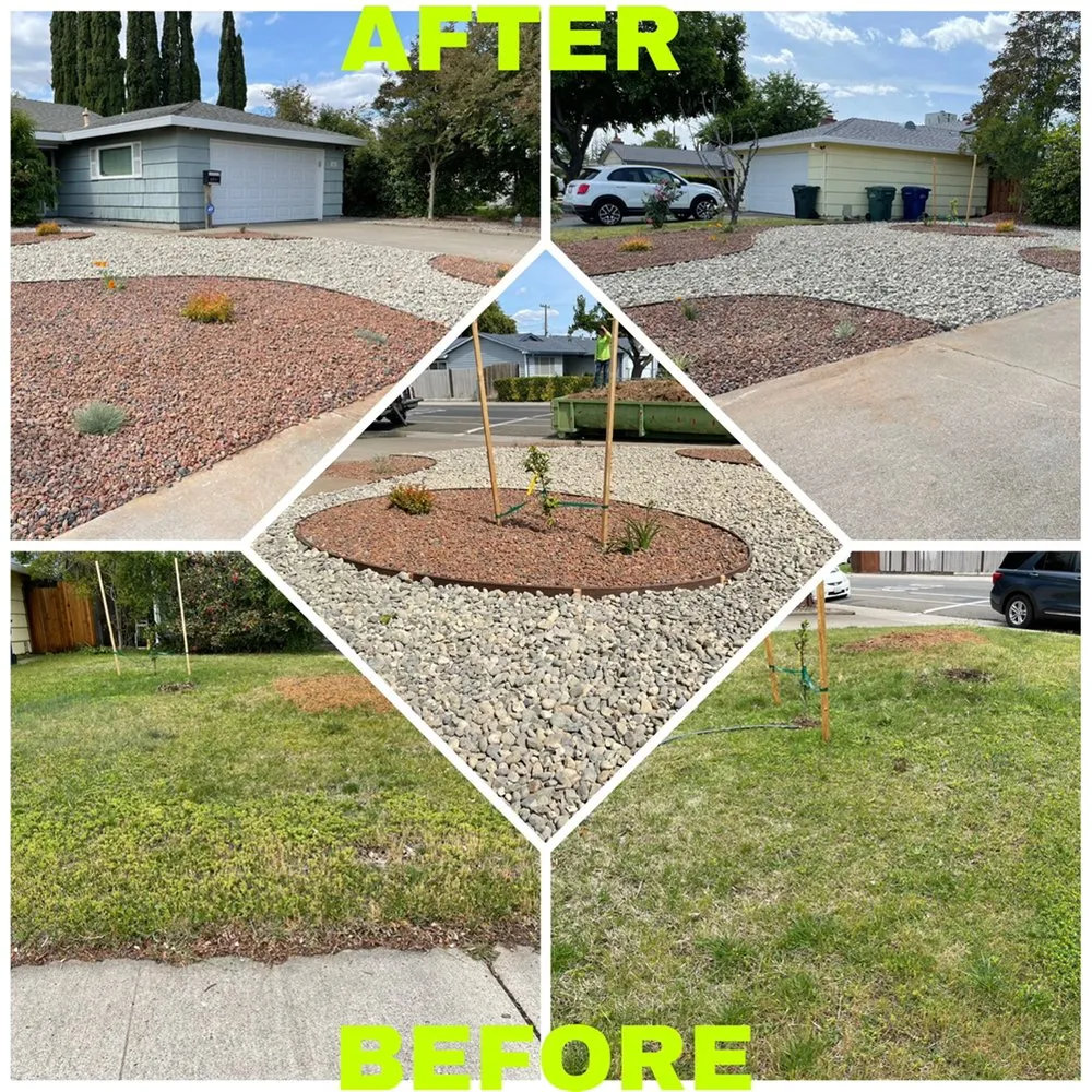 Top-rated garden landscaping for year-round maintenance in Folsom, CA by Elite Lawn and Yard Care