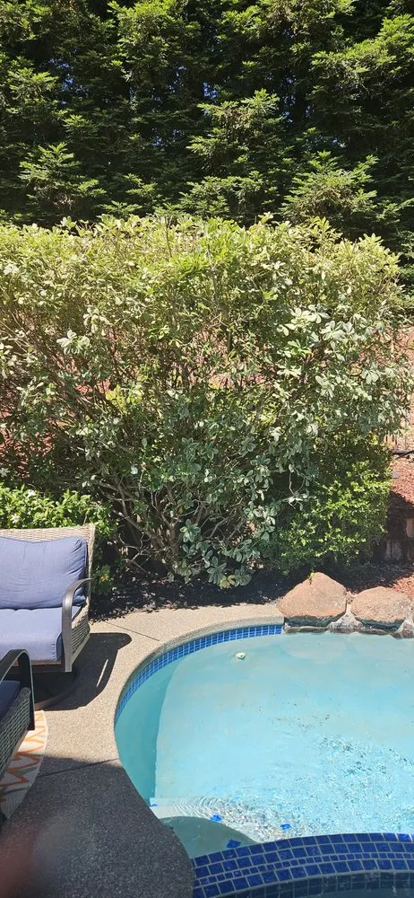 Affordable lawn mowing service for beautiful yards in Folsom, CA by Elite Lawn and Yard Care