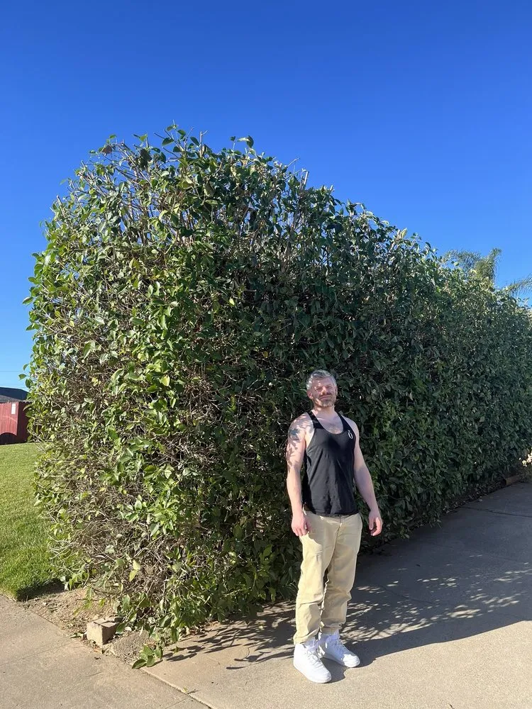 Professional outdoor landscaping in Folsom, CA by Elite Lawn and Yard Care