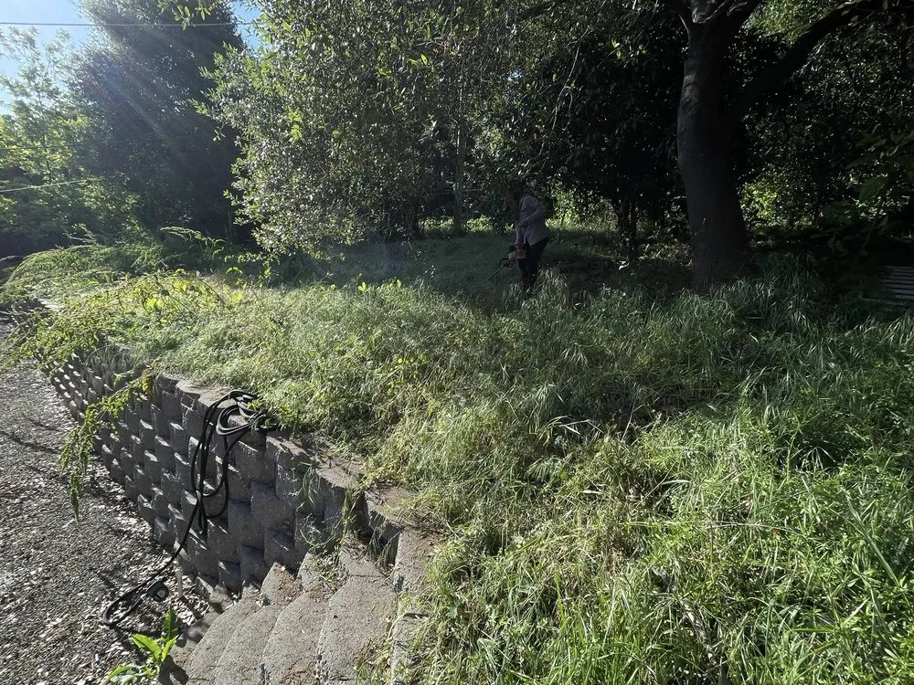 Affordable outdoor landscaping in Folsom, CA by Elite Lawn and Yard Care