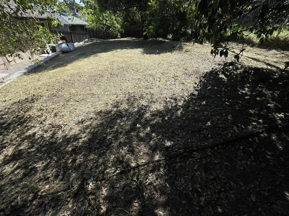 Expert landscape design in Folsom, CA by Elite Lawn and Yard Care