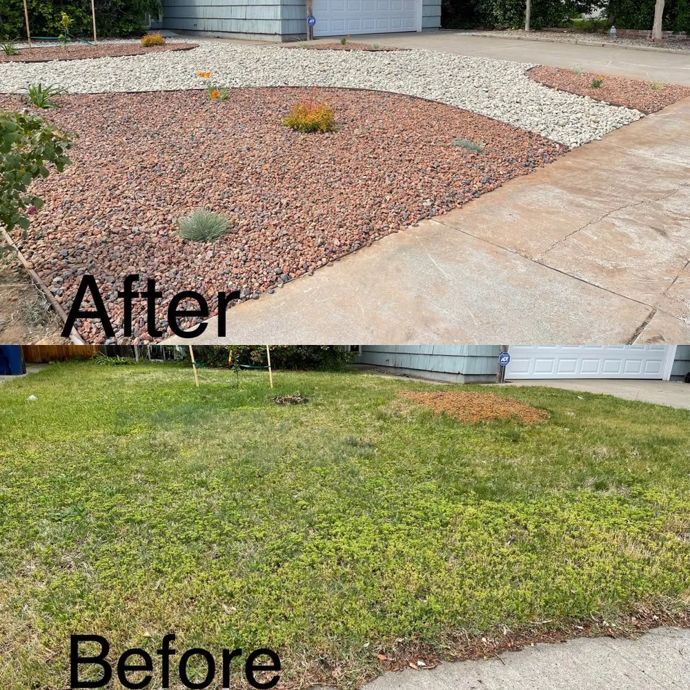 Reliable yard cleanup service in Folsom, CA - Elite Lawn and Yard Care