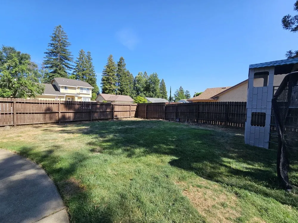 Expert yard cleanup service in Folsom, CA by Elite Lawn and Yard Care