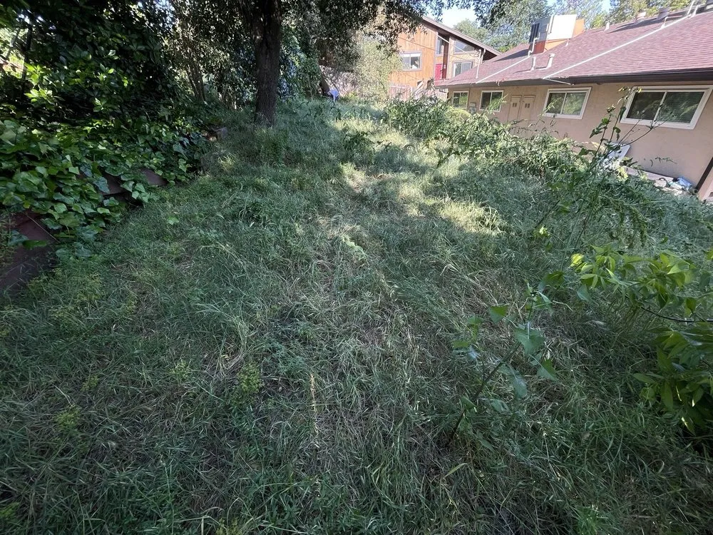 Professional lawn care service for beautiful yards across Folsom, CA - Elite Lawn and Yard Care