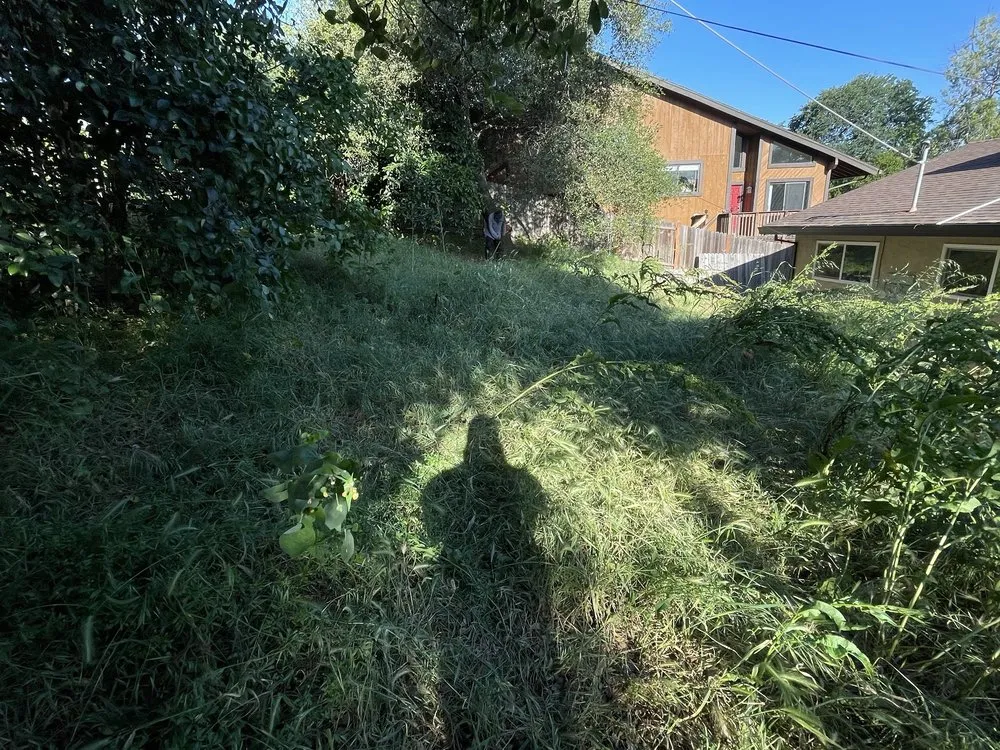 Professional garden landscaping for beautiful yards in Folsom, CA by Elite Lawn and Yard Care