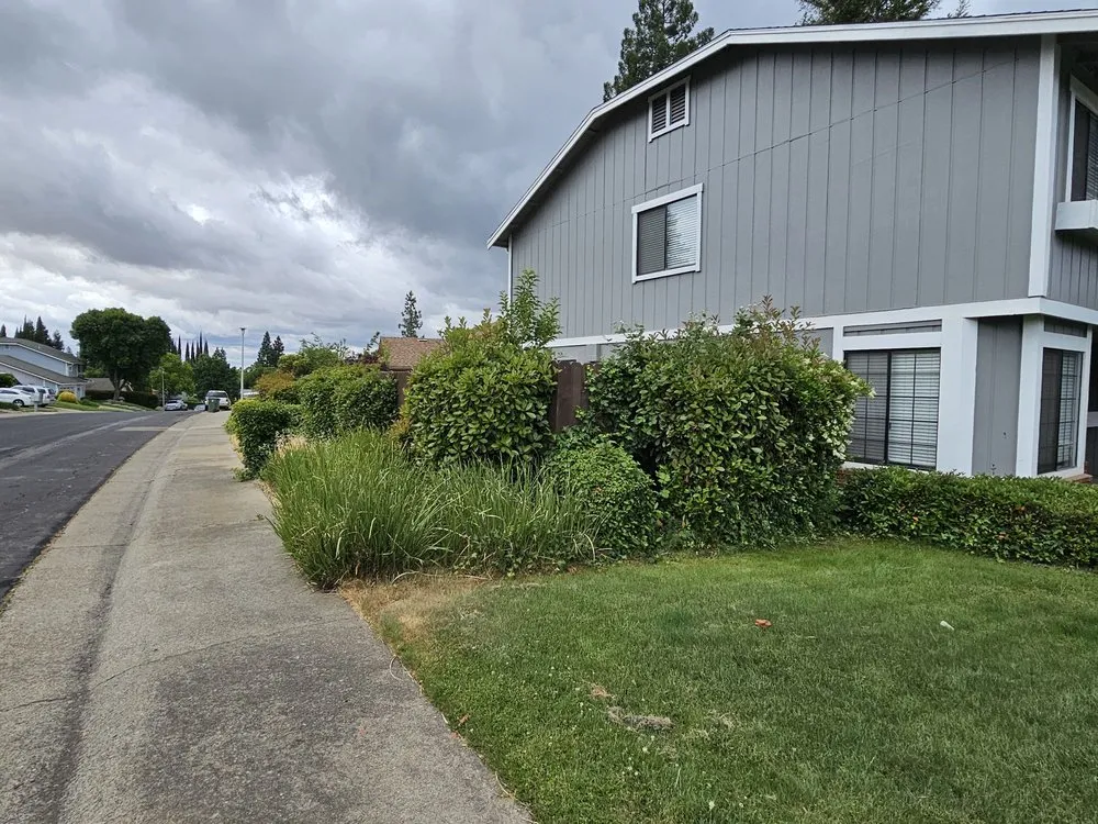 Expert yard maintenance in Folsom, CA - Elite Lawn and Yard Care