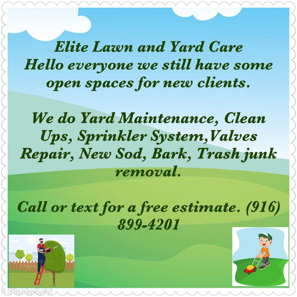 Expert yard maintenance near you in Folsom, CA by Elite Lawn and Yard Care