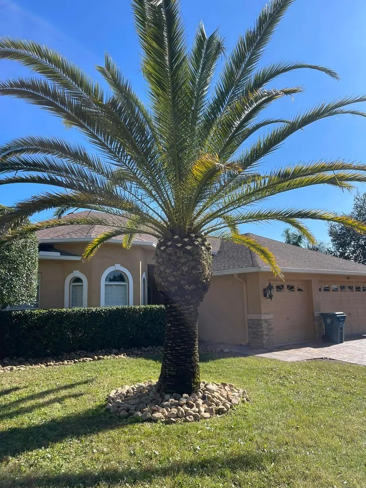 Custom lawn care service in Brooksville, FL by Elite Lawn Care & Landscaping