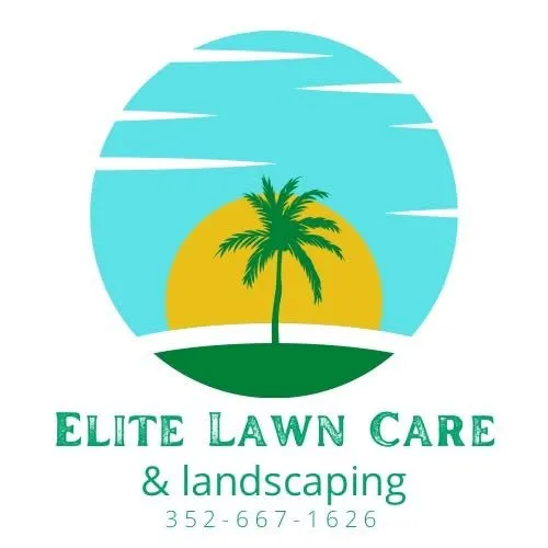 Affordable lawn mowing service experts serving Brooksville, FL - Elite Lawn Care & Landscaping