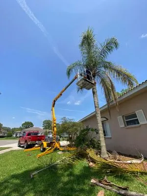 Elite Lawn Care & Landscaping Logo