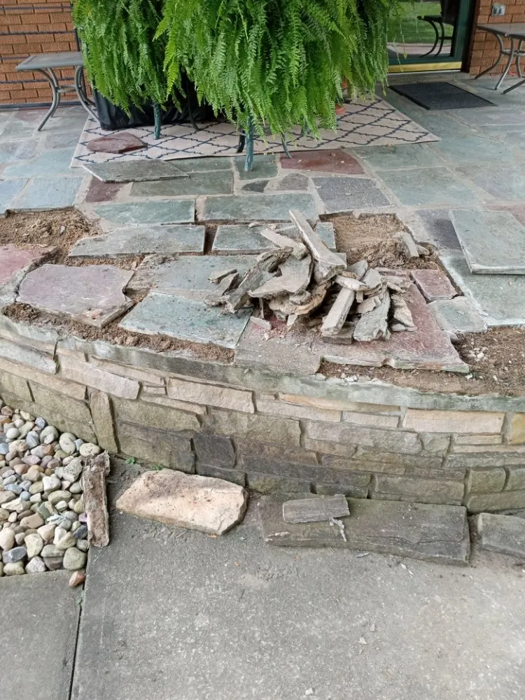 Top-rated lawn care service near you in Dilliner, PA by Elite Lawn Care & Landscaping