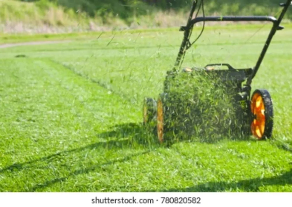 Local landscaping services experts serving Dilliner, PA - Elite Lawn Care & Landscaping