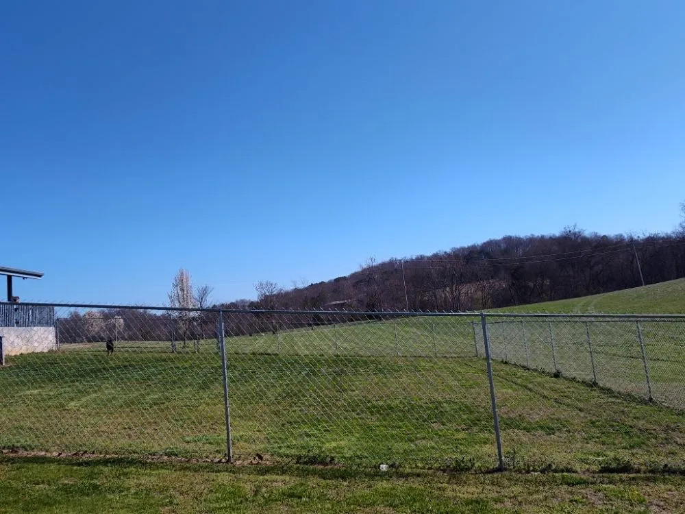 Top-rated yard cleanup service experts serving Newport, TN - Elite Lawn Care & Pressure Washing