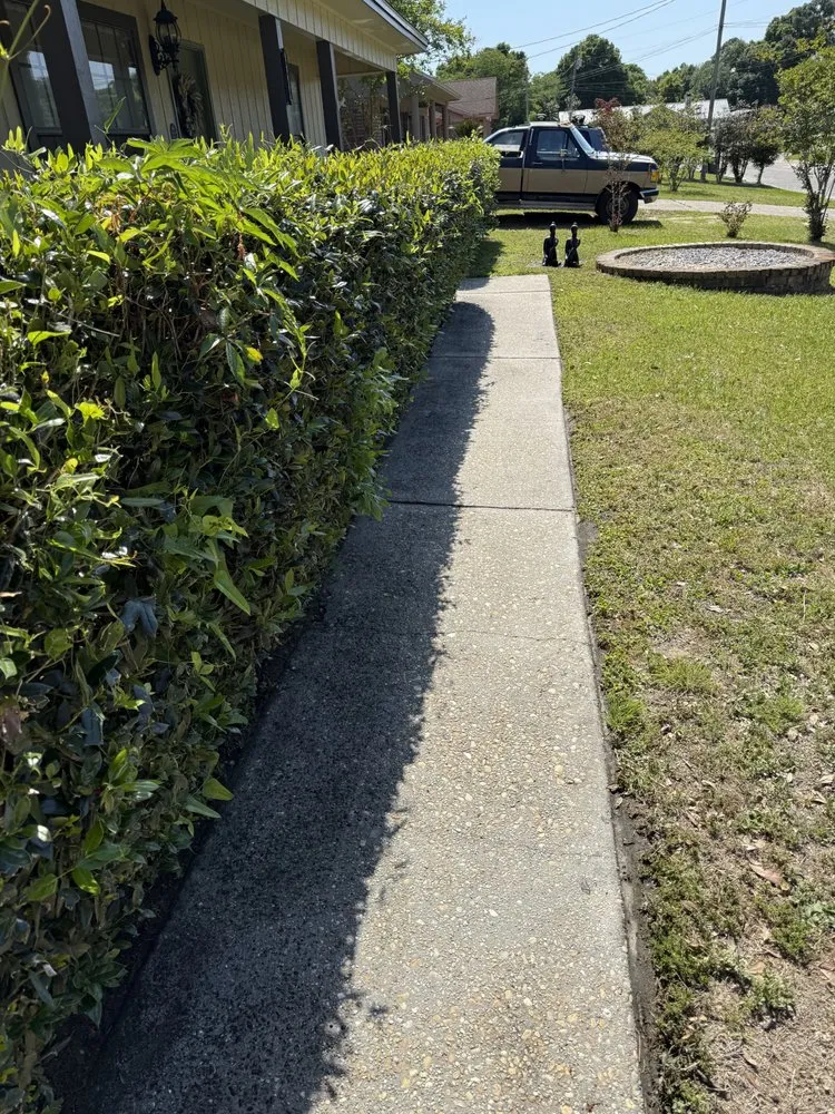 Affordable lawn care service for homes in Pensacola, FL by Elite Lawn care 850
