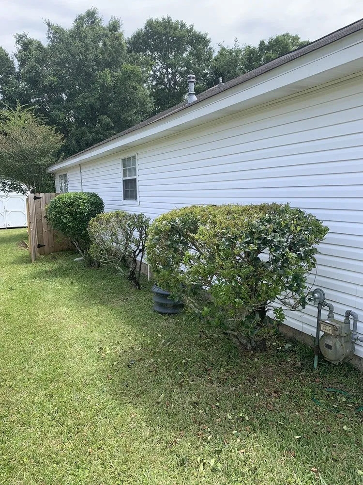 Top-rated yard cleanup service experts serving Pensacola, FL - Elite Lawn care 850