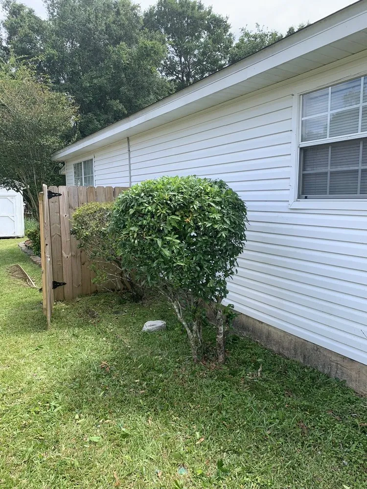 Custom yard cleanup service experts serving Pensacola, FL - Elite Lawn care 850